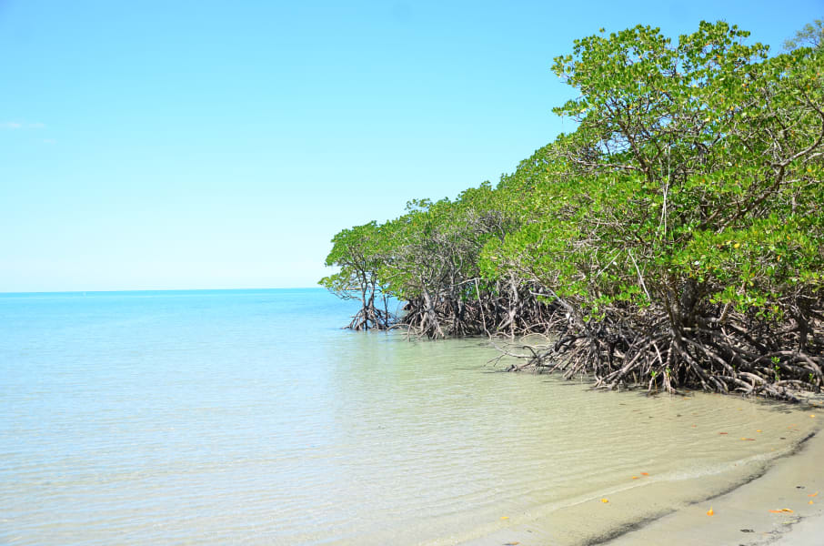 Вся Австралия с островами Фрейзер и Тасмания: 26 тыс км на авто (много фото)
