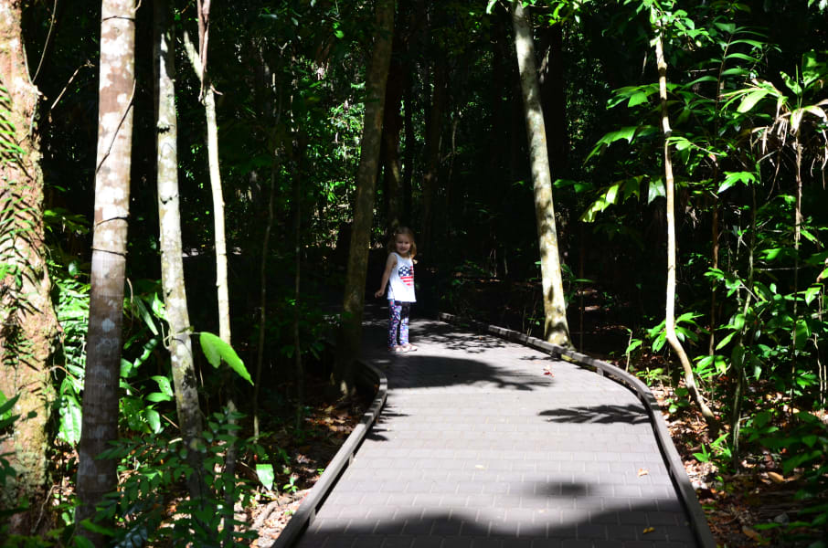 Вся Австралия с островами Фрейзер и Тасмания: 26 тыс км на авто (много фото)