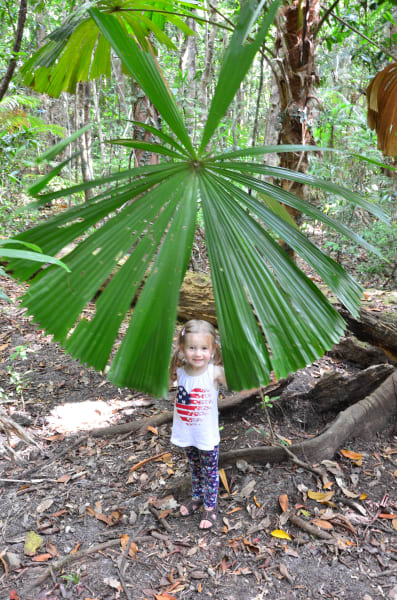 Вся Австралия с островами Фрейзер и Тасмания: 26 тыс км на авто (много фото)