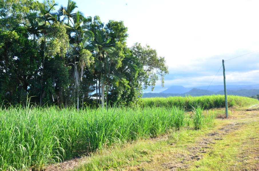 Вся Австралия с островами Фрейзер и Тасмания: 26 тыс км на авто (много фото)