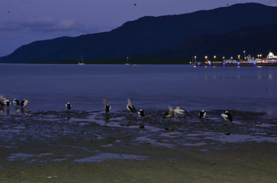 Вся Австралия с островами Фрейзер и Тасмания: 26 тыс км на авто (много фото)