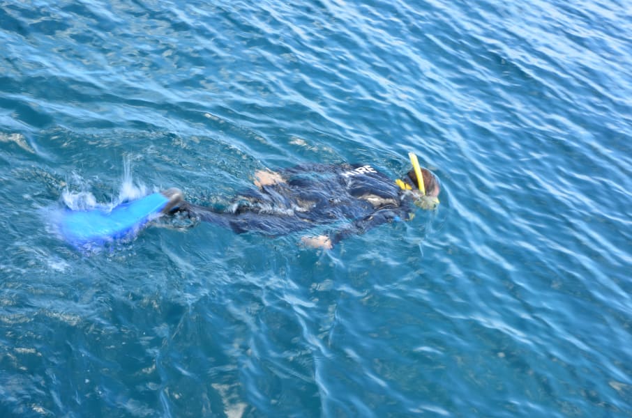 Вся Австралия с островами Фрейзер и Тасмания: 26 тыс км на авто (много фото)