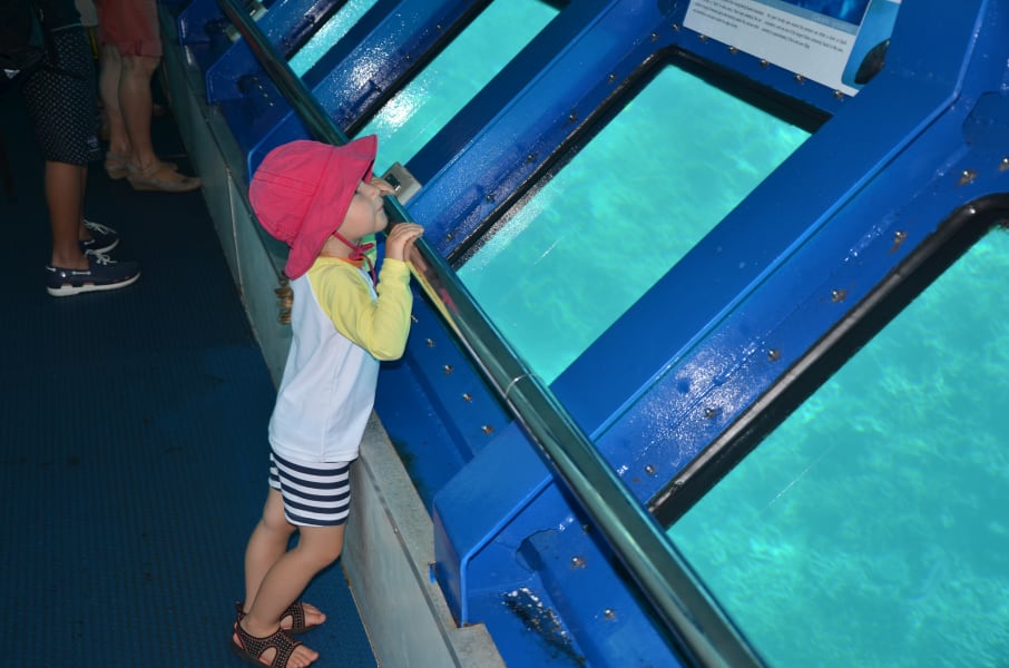 Вся Австралия с островами Фрейзер и Тасмания: 26 тыс км на авто (много фото)