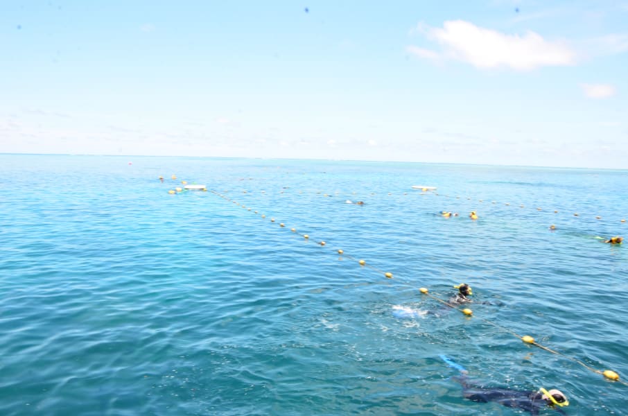 Вся Австралия с островами Фрейзер и Тасмания: 26 тыс км на авто (много фото)