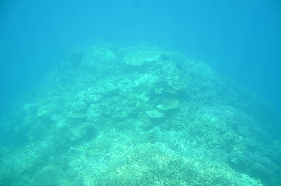 Вся Австралия с островами Фрейзер и Тасмания: 26 тыс км на авто (много фото)