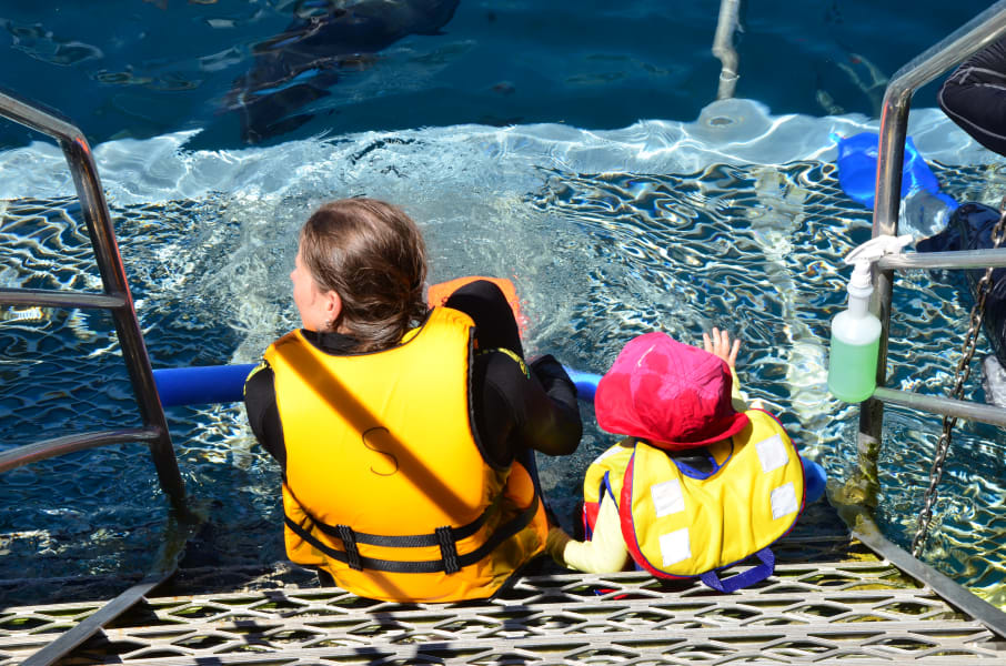 Вся Австралия с островами Фрейзер и Тасмания: 26 тыс км на авто (много фото)