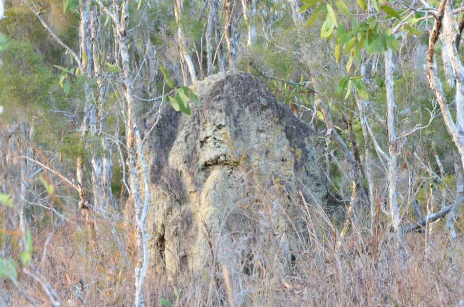 Вся Австралия с островами Фрейзер и Тасмания: 26 тыс км на авто (много фото)