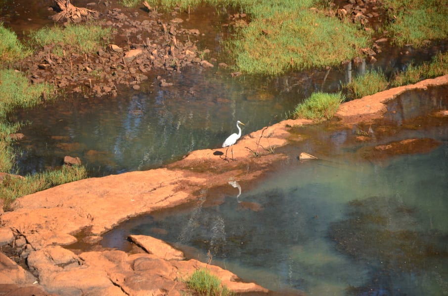 Вся Австралия с островами Фрейзер и Тасмания: 26 тыс км на авто (много фото)
