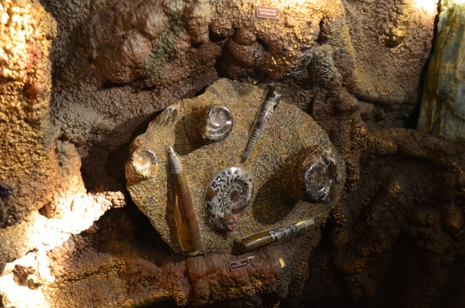 Вся Австралия с островами Фрейзер и Тасмания: 26 тыс км на авто (много фото)