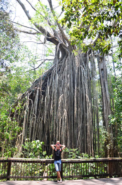 Вся Австралия с островами Фрейзер и Тасмания: 26 тыс км на авто (много фото)
