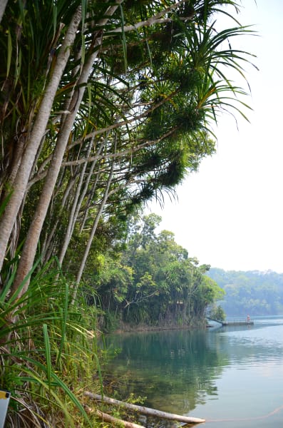Вся Австралия с островами Фрейзер и Тасмания: 26 тыс км на авто (много фото)