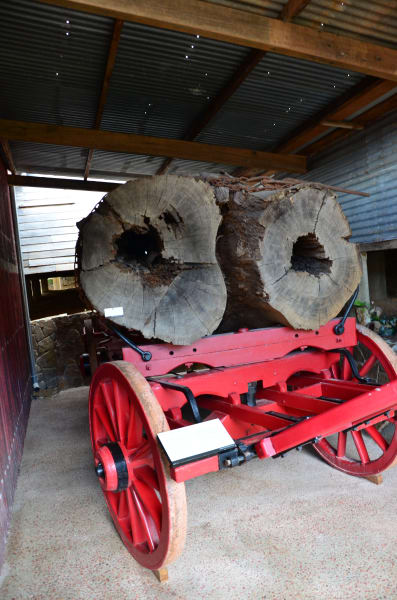 Вся Австралия с островами Фрейзер и Тасмания: 26 тыс км на авто (много фото)
