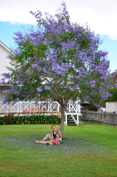 Вся Австралия с островами Фрейзер и Тасмания: 26 тыс км на авто (много фото)