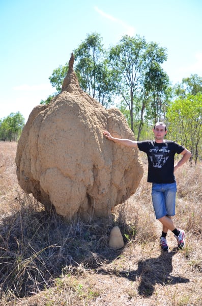 Вся Австралия с островами Фрейзер и Тасмания: 26 тыс км на авто (много фото)