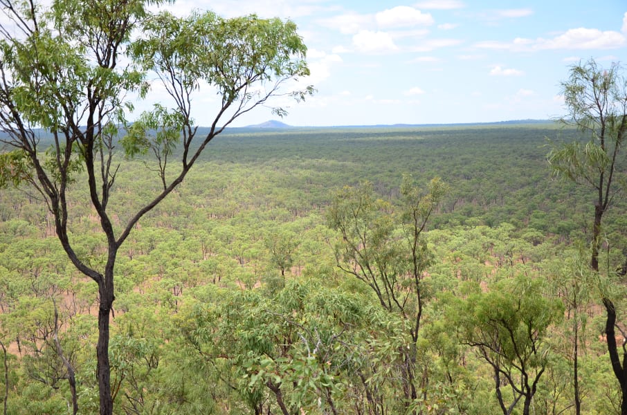 Вся Австралия с островами Фрейзер и Тасмания: 26 тыс км на авто (много фото)