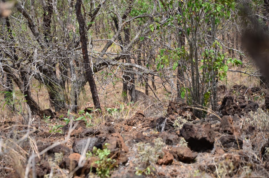 Вся Австралия с островами Фрейзер и Тасмания: 26 тыс км на авто (много фото)