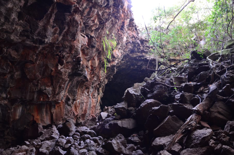 Вся Австралия с островами Фрейзер и Тасмания: 26 тыс км на авто (много фото)