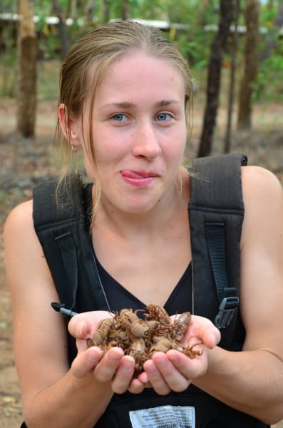 Вся Австралия с островами Фрейзер и Тасмания: 26 тыс км на авто (много фото)
