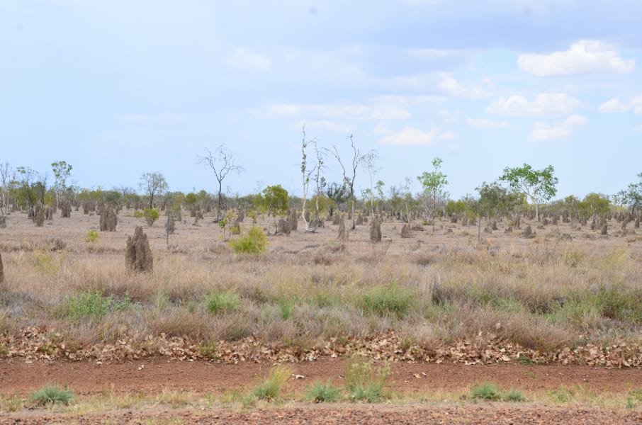 Вся Австралия с островами Фрейзер и Тасмания: 26 тыс км на авто (много фото)