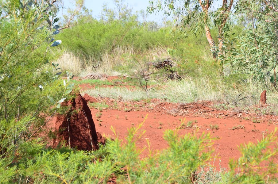 Вся Австралия с островами Фрейзер и Тасмания: 26 тыс км на авто (много фото)