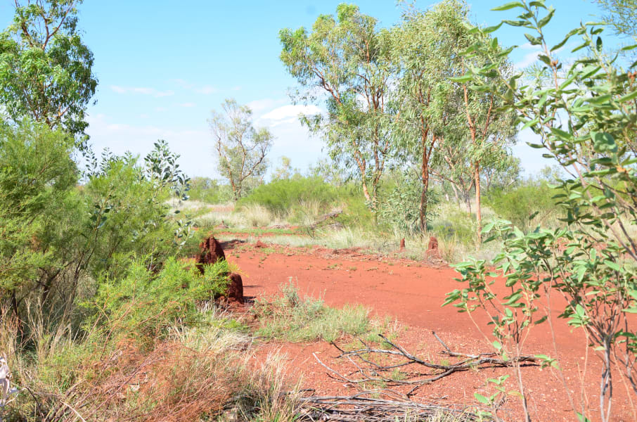 Вся Австралия с островами Фрейзер и Тасмания: 26 тыс км на авто (много фото)