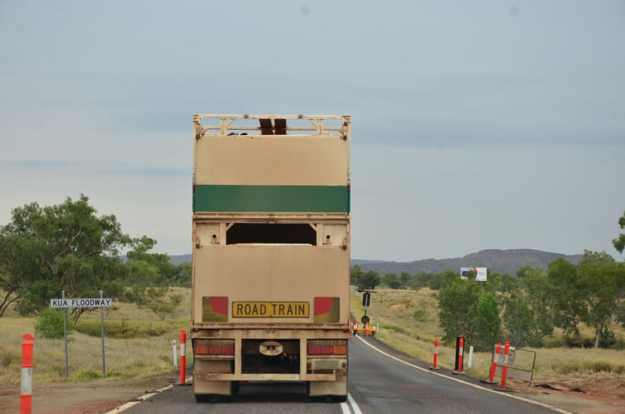 Вся Австралия с островами Фрейзер и Тасмания: 26 тыс км на авто (много фото)
