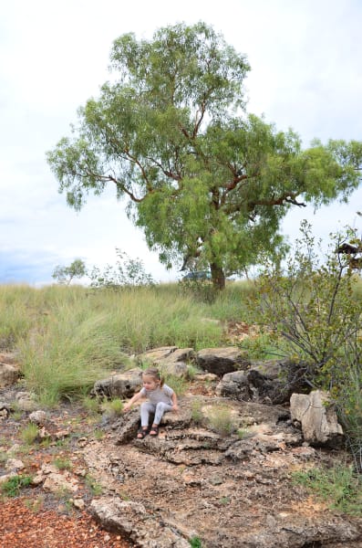 Вся Австралия с островами Фрейзер и Тасмания: 26 тыс км на авто (много фото)