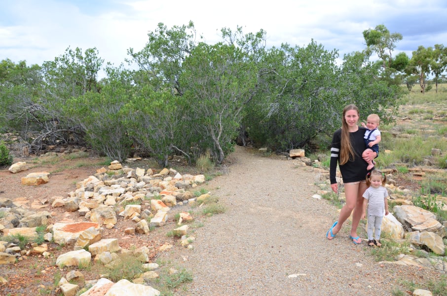 Вся Австралия с островами Фрейзер и Тасмания: 26 тыс км на авто (много фото)