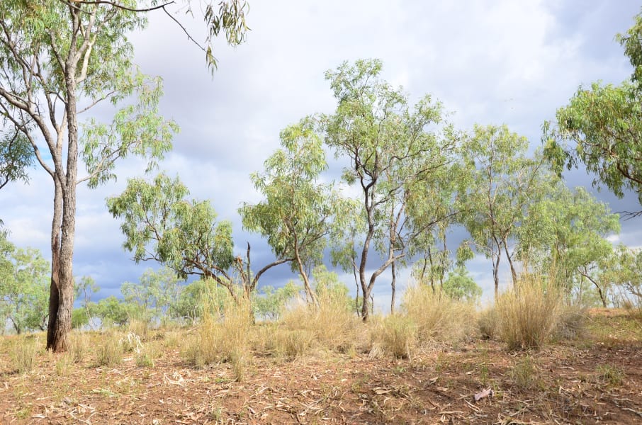 Вся Австралия с островами Фрейзер и Тасмания: 26 тыс км на авто (много фото)