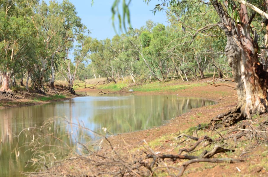 Вся Австралия с островами Фрейзер и Тасмания: 26 тыс км на авто (много фото)