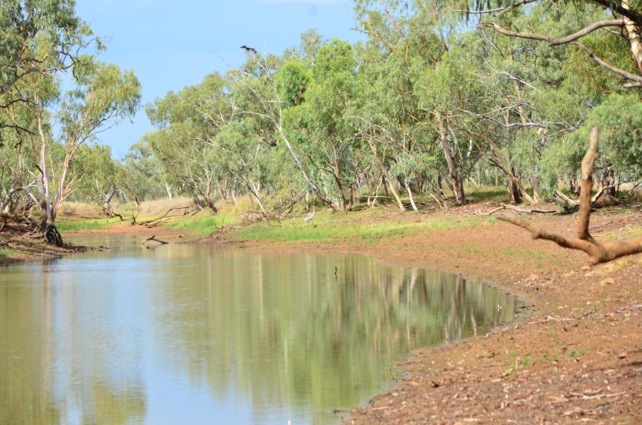 Вся Австралия с островами Фрейзер и Тасмания: 26 тыс км на авто (много фото)