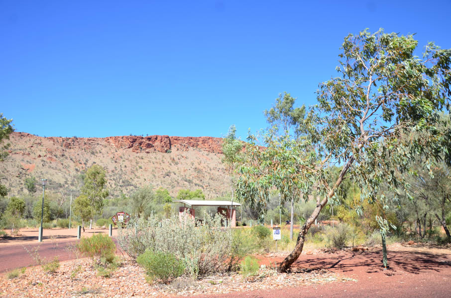 Вся Австралия с островами Фрейзер и Тасмания: 26 тыс км на авто (много фото)