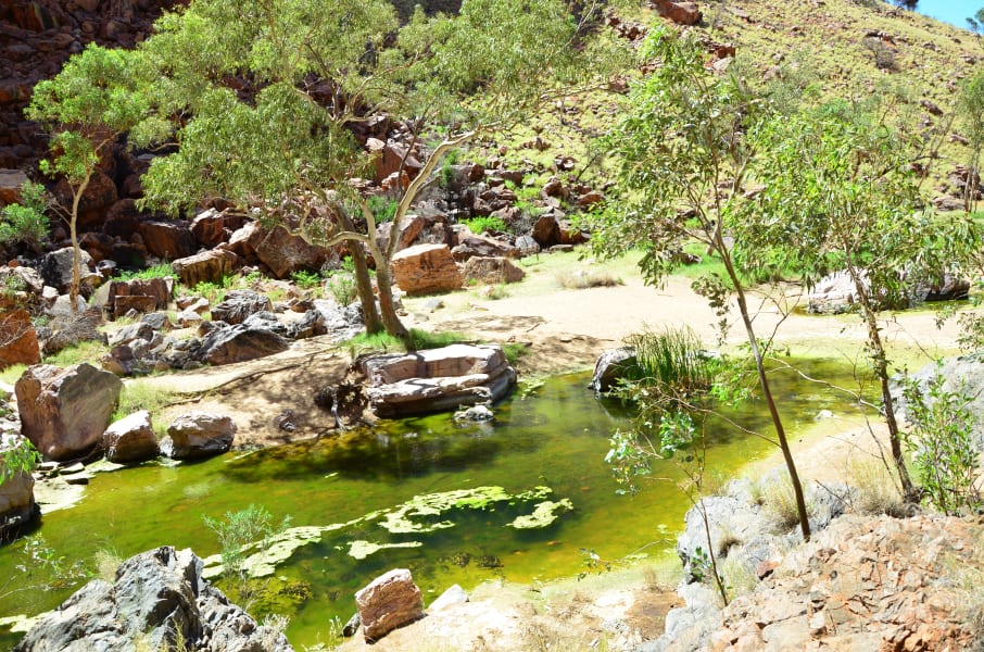 Вся Австралия с островами Фрейзер и Тасмания: 26 тыс км на авто (много фото)