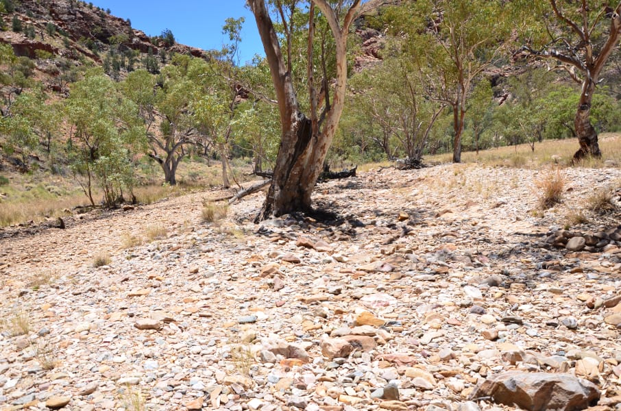 Вся Австралия с островами Фрейзер и Тасмания: 26 тыс км на авто (много фото)