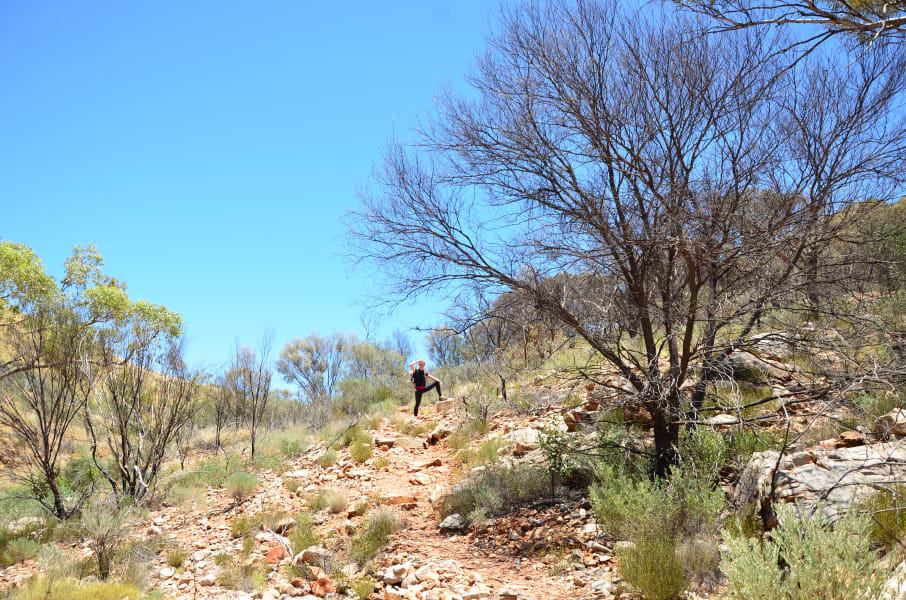 Вся Австралия с островами Фрейзер и Тасмания: 26 тыс км на авто (много фото)