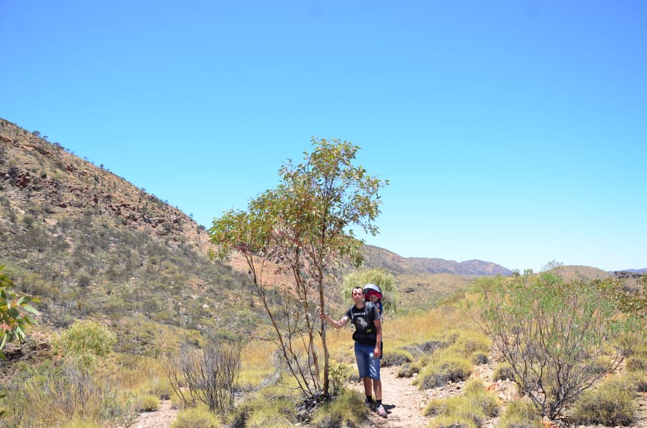 Вся Австралия с островами Фрейзер и Тасмания: 26 тыс км на авто (много фото)