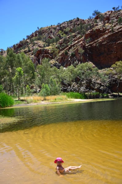 Вся Австралия с островами Фрейзер и Тасмания: 26 тыс км на авто (много фото)