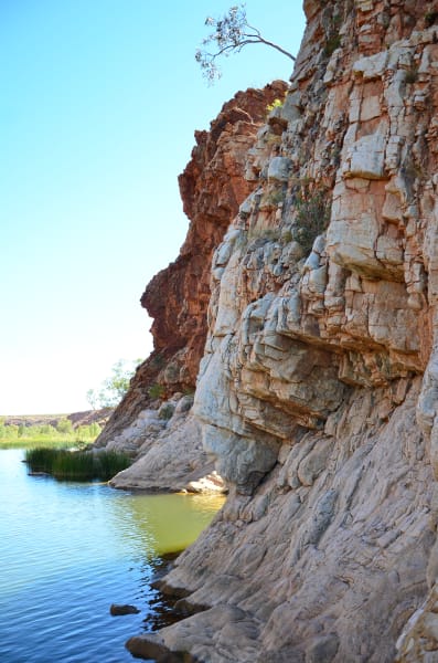 Вся Австралия с островами Фрейзер и Тасмания: 26 тыс км на авто (много фото)