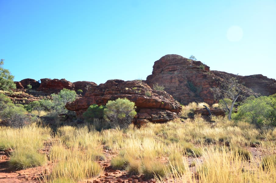Вся Австралия с островами Фрейзер и Тасмания: 26 тыс км на авто (много фото)