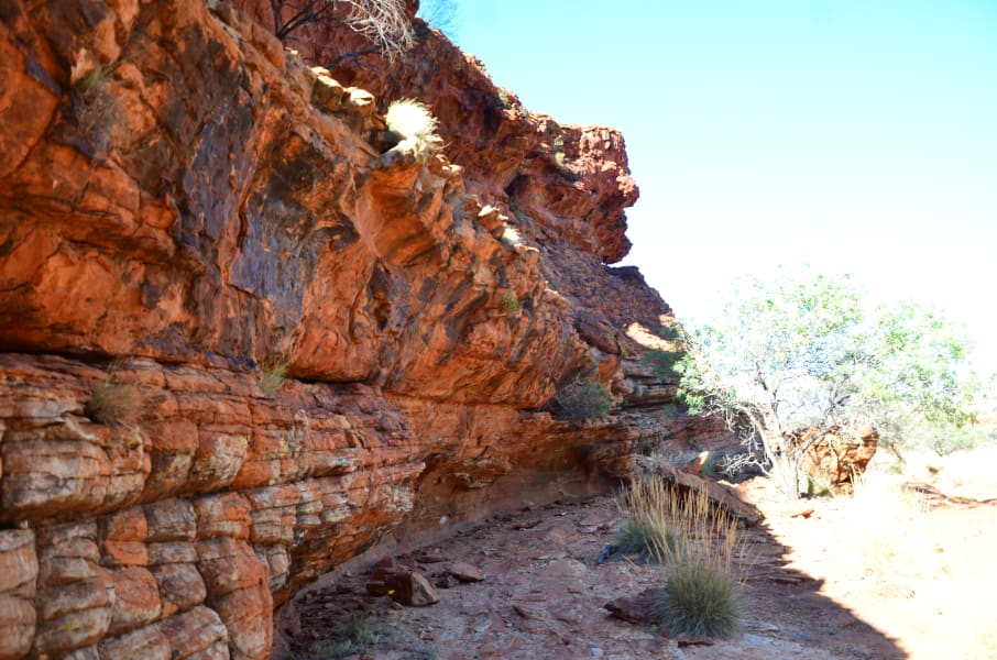 Вся Австралия с островами Фрейзер и Тасмания: 26 тыс км на авто (много фото)
