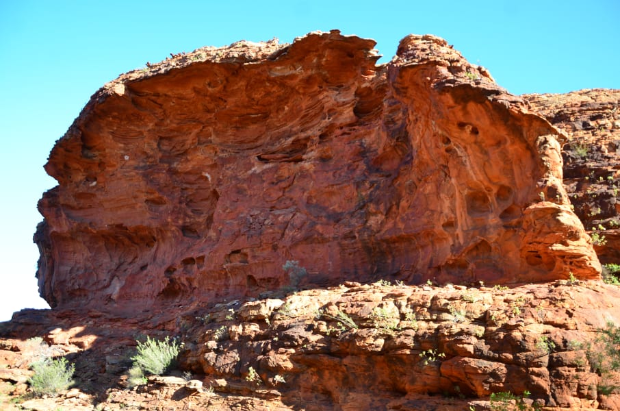 Вся Австралия с островами Фрейзер и Тасмания: 26 тыс км на авто (много фото)