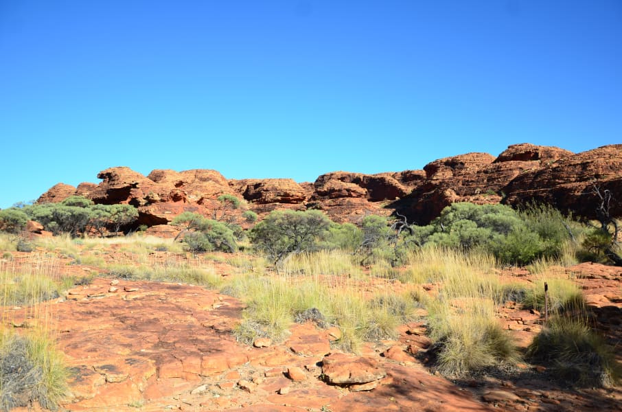 Вся Австралия с островами Фрейзер и Тасмания: 26 тыс км на авто (много фото)