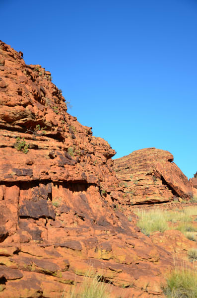 Вся Австралия с островами Фрейзер и Тасмания: 26 тыс км на авто (много фото)