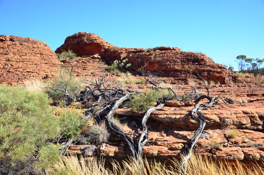 Вся Австралия с островами Фрейзер и Тасмания: 26 тыс км на авто (много фото)