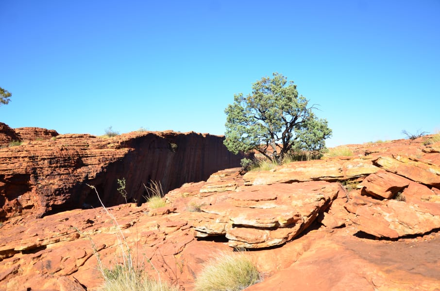 Вся Австралия с островами Фрейзер и Тасмания: 26 тыс км на авто (много фото)