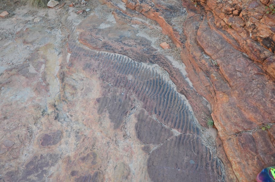 Вся Австралия с островами Фрейзер и Тасмания: 26 тыс км на авто (много фото)