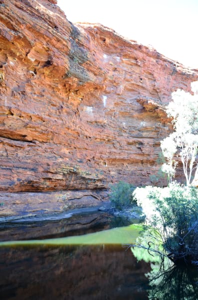 Вся Австралия с островами Фрейзер и Тасмания: 26 тыс км на авто (много фото)