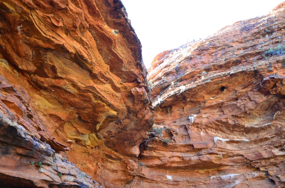 Вся Австралия с островами Фрейзер и Тасмания: 26 тыс км на авто (много фото)