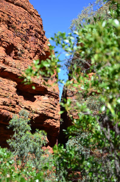 Вся Австралия с островами Фрейзер и Тасмания: 26 тыс км на авто (много фото)