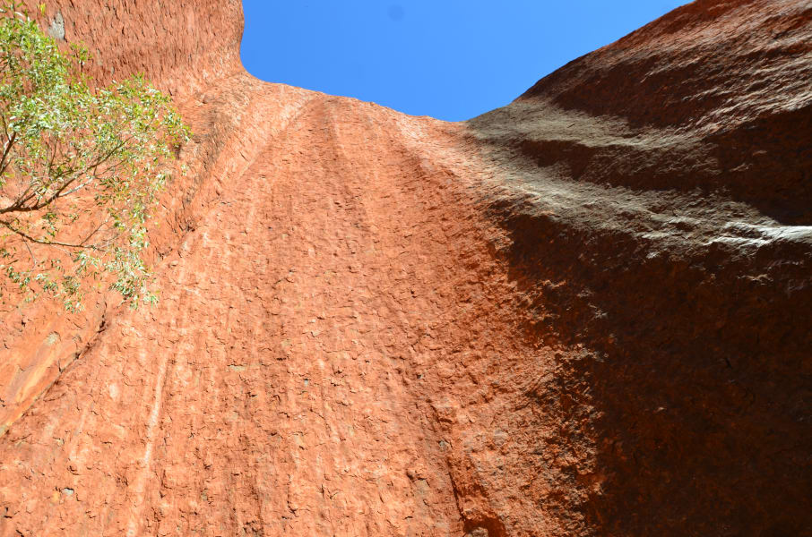 Вся Австралия с островами Фрейзер и Тасмания: 26 тыс км на авто (много фото)